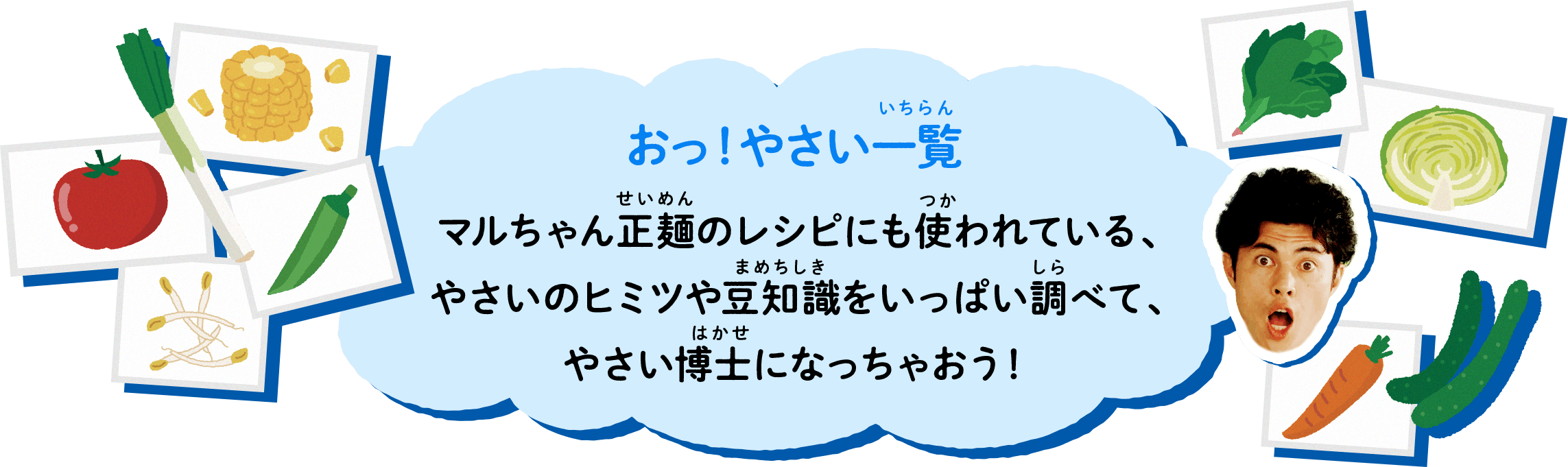 おっ！やさい一覧。マルちゃん正麺のレシピにも使われている、やさいのヒミツや豆知識をいっぱい調べて、やさい博士になっちゃおう！